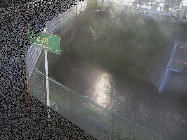 昭和橋付近のカメラ画像
