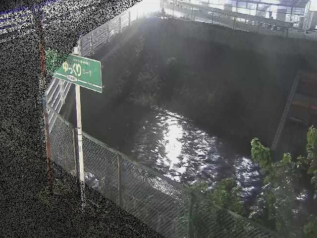 境川 昭和橋付近のカメラ画像
