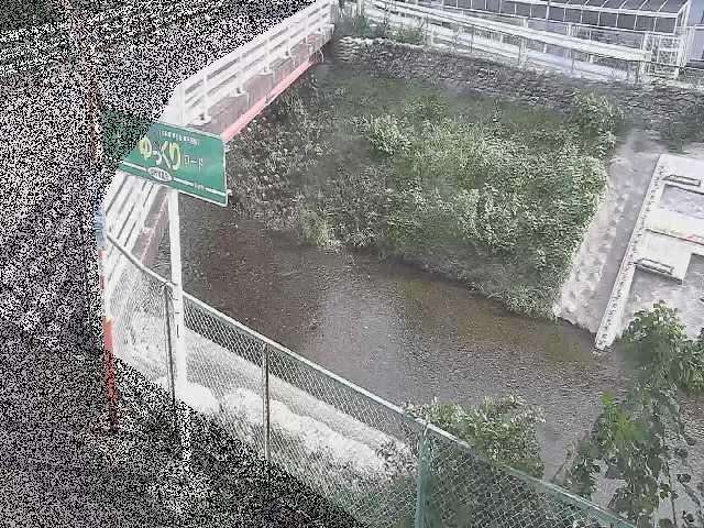 昭和橋付近のカメラ画像