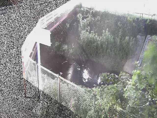 昭和橋付近のカメラ画像