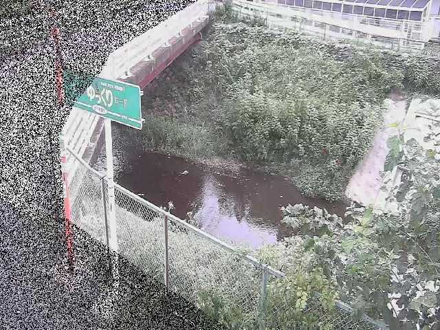 境川 昭和橋付近のカメラ画像