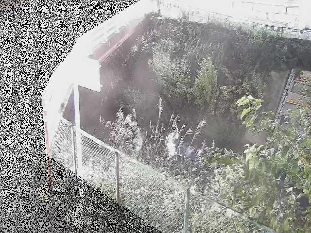 昭和橋付近のカメラ画像