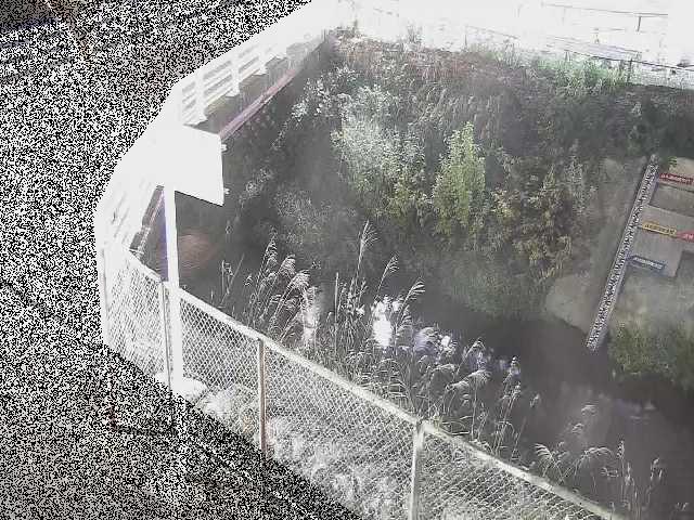 昭和橋付近のカメラ画像
