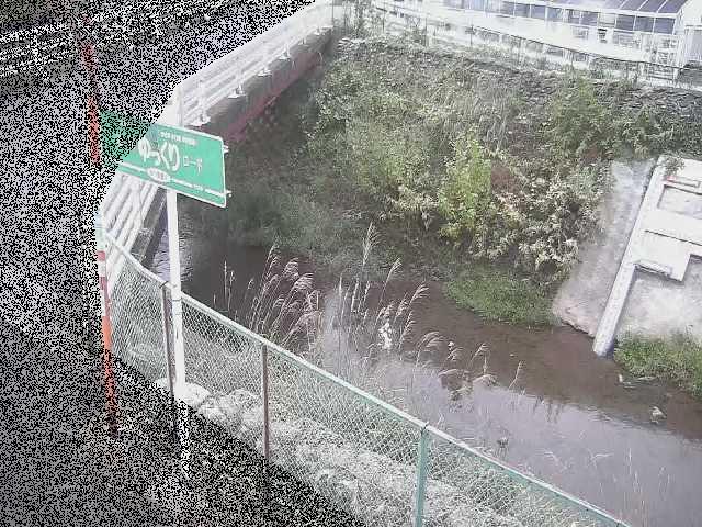 昭和橋付近のカメラ画像