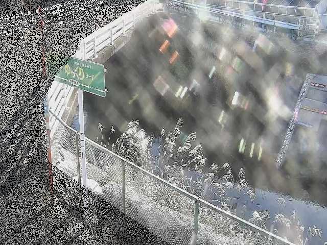 境川 昭和橋付近のカメラ画像