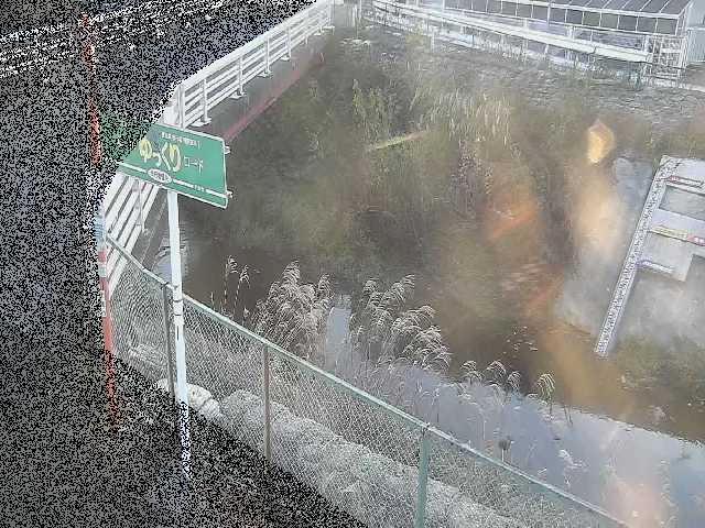 境川 昭和橋付近のカメラ画像