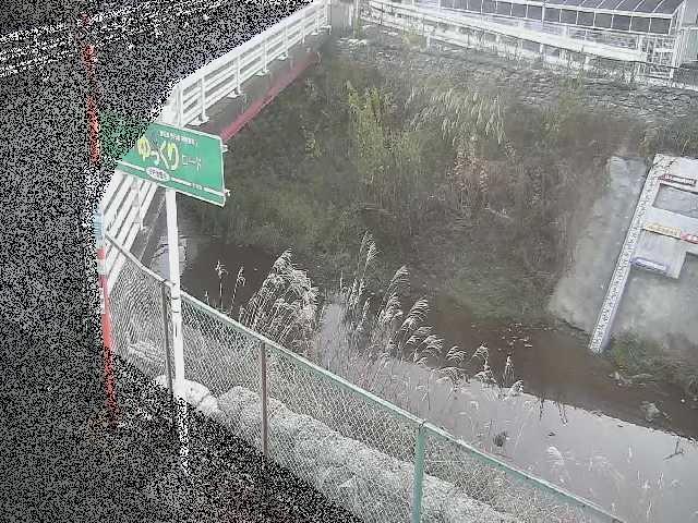境川 昭和橋付近のカメラ画像