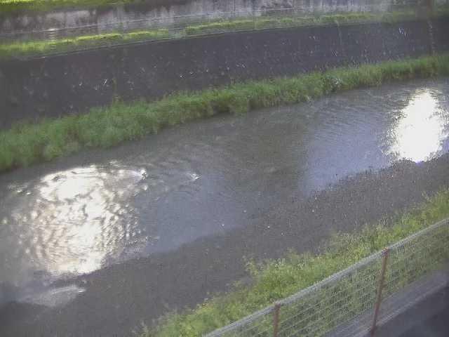 境川 幸延寺橋付近のカメラ画像