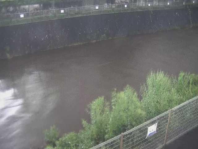 境川 幸延寺橋付近のカメラ画像
