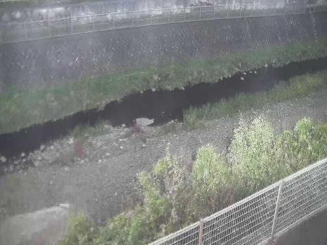 幸延寺橋付近のカメラ画像