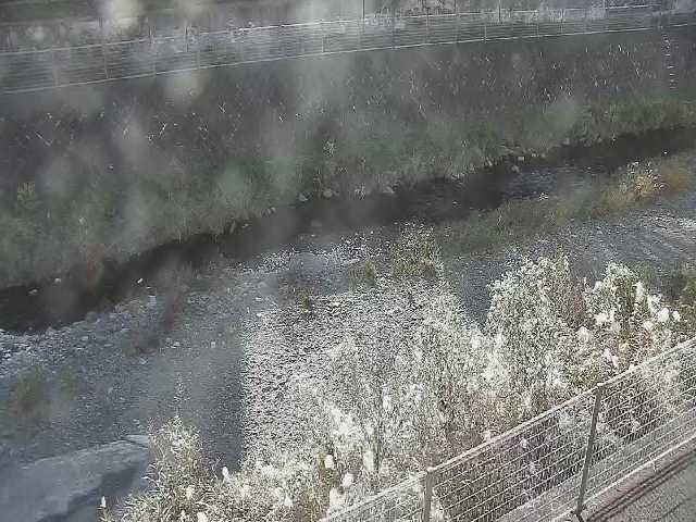 境川 幸延寺橋付近のカメラ画像