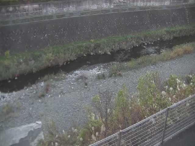 境川 幸延寺橋付近のカメラ画像
