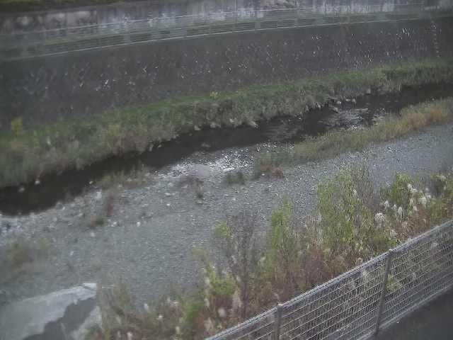 境川 幸延寺橋付近のカメラ画像