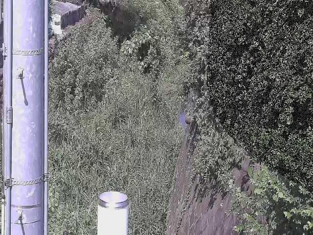 新町屋橋付近のカメラ画像