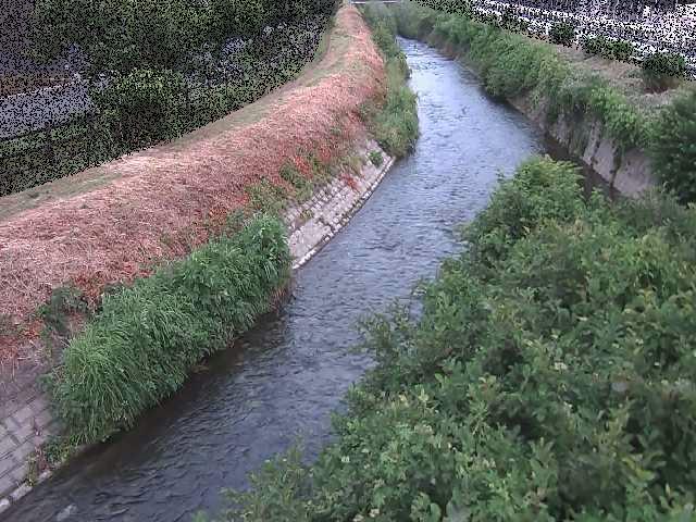 要定川 土堀田橋付近のカメラ画像