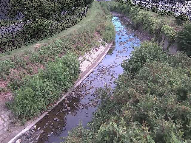 要定川 土堀田橋付近のカメラ画像