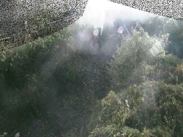 土堀田橋付近のカメラ画像