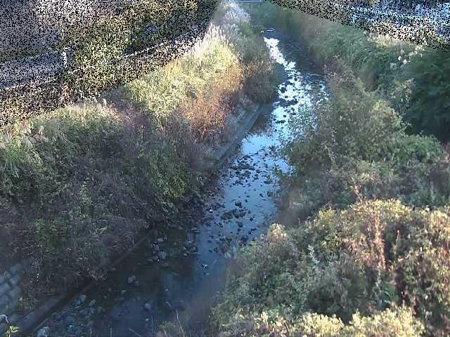 要定川 土堀田橋付近のカメラ画像