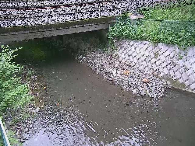 洞川 新下原橋付近のカメラ画像