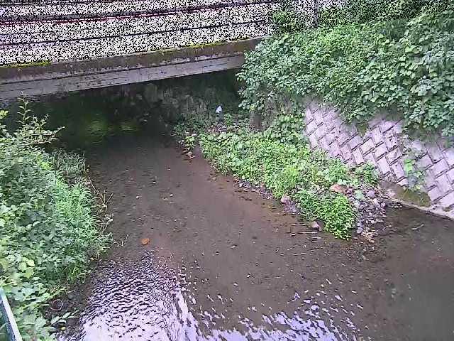 新下原橋付近のカメラ画像