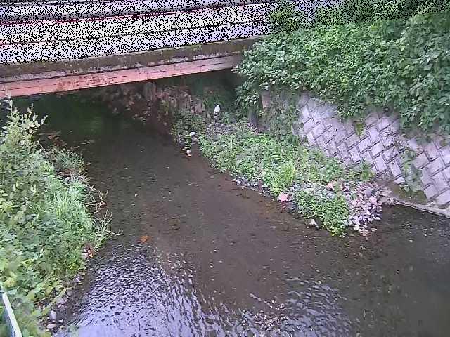 洞川 新下原橋付近のカメラ画像
