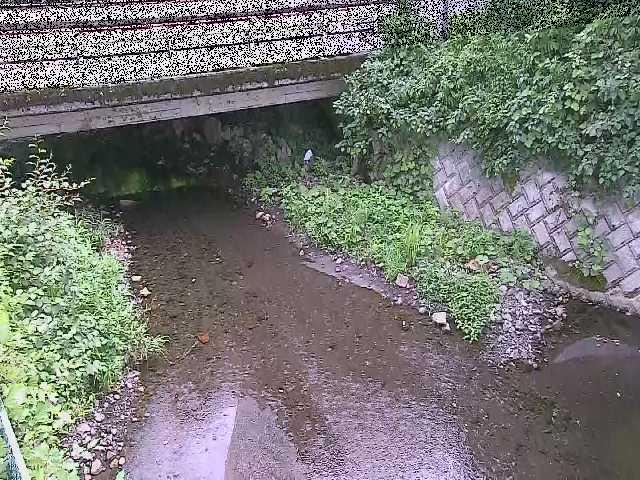 新下原橋付近のカメラ画像