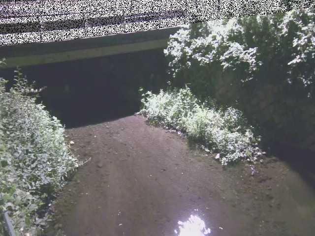 洞川 新下原橋付近のカメラ画像