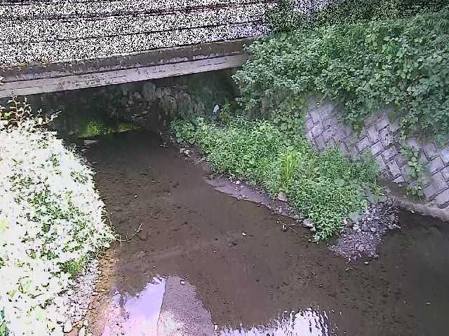 洞川 新下原橋付近のカメラ画像