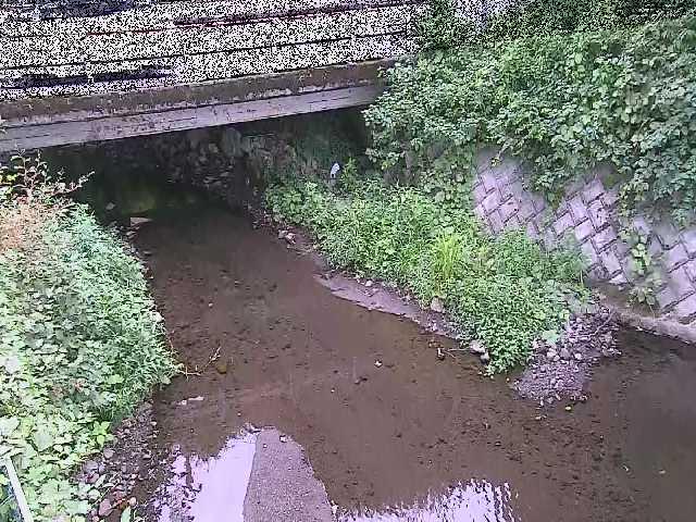 新下原橋付近のカメラ画像