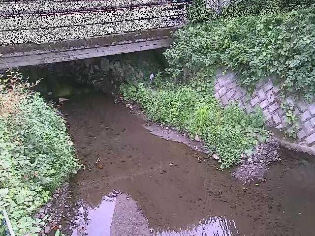 洞川 新下原橋付近のカメラ画像