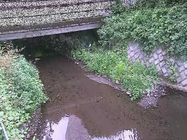 新下原橋付近のカメラ画像