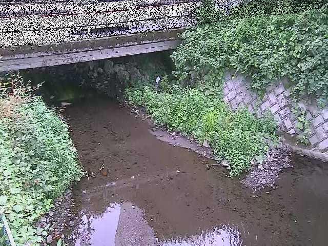新下原橋付近のカメラ画像