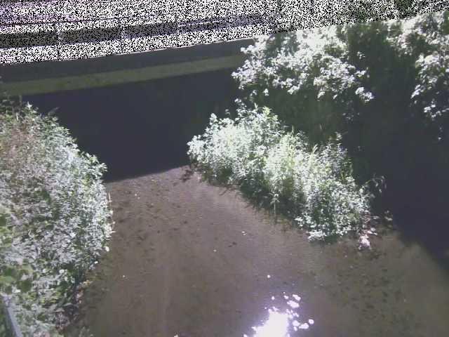 洞川 新下原橋付近のカメラ画像