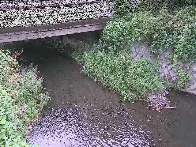 洞川 新下原橋付近のカメラ画像