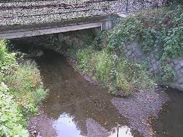 洞川 新下原橋付近のカメラ画像