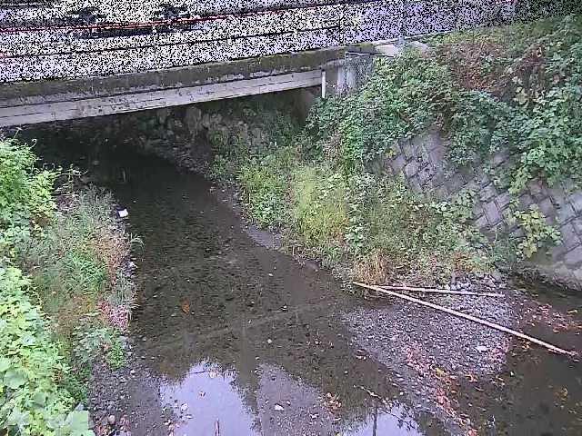 洞川 新下原橋付近のカメラ画像
