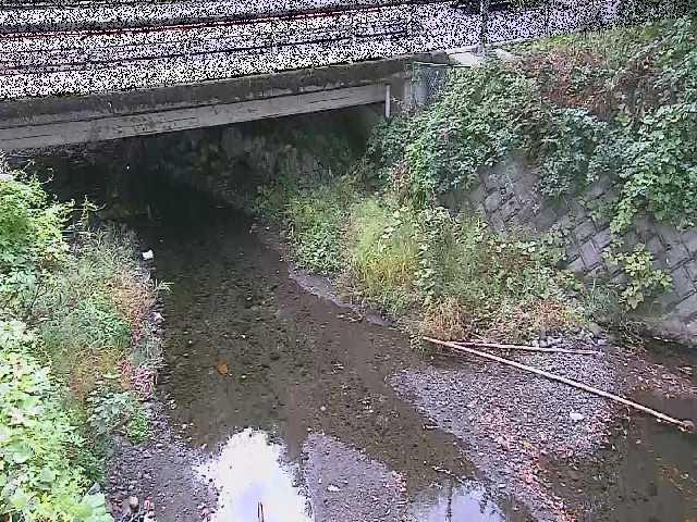 洞川 新下原橋付近のカメラ画像