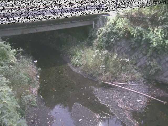 新下原橋付近のカメラ画像