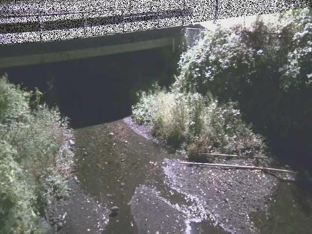 新下原橋付近のカメラ画像