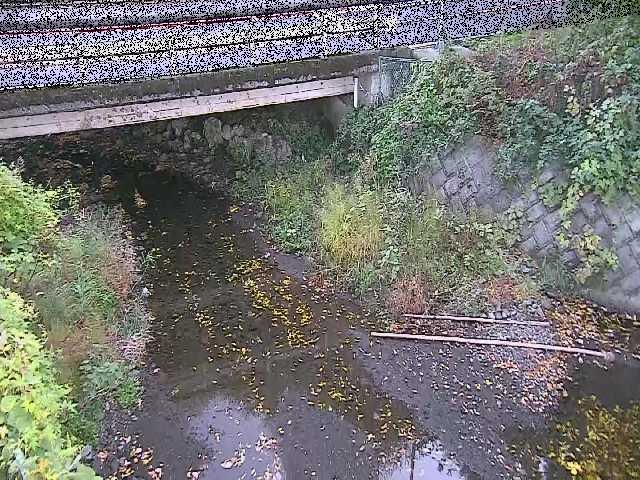 洞川 新下原橋付近のカメラ画像