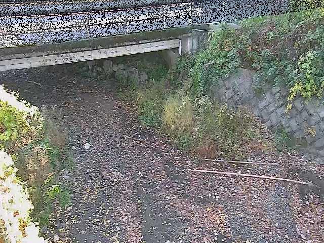 新下原橋付近のカメラ画像