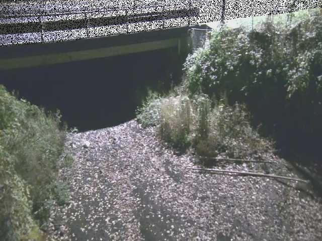 洞川 新下原橋付近のカメラ画像