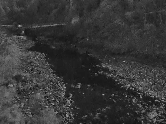 酒匂川 谷ケ付近のカメラ画像