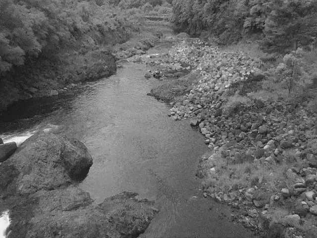 平山橋付近のカメラ画像