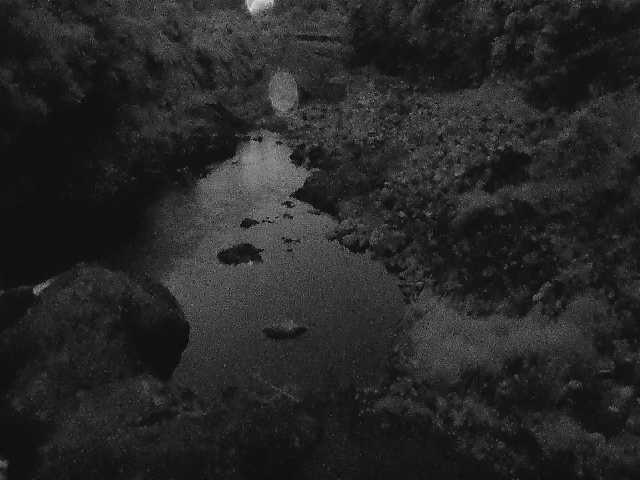 平山橋付近のカメラ画像