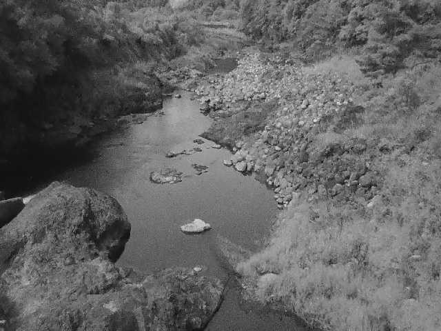 河内川 平山橋付近のカメラ画像