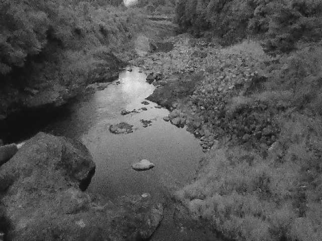 河内川 平山橋付近のカメラ画像