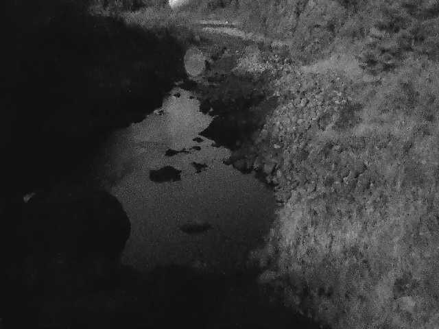 河内川 平山橋付近のカメラ画像