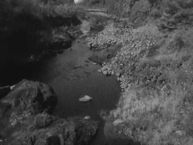 河内川 平山橋付近のカメラ画像