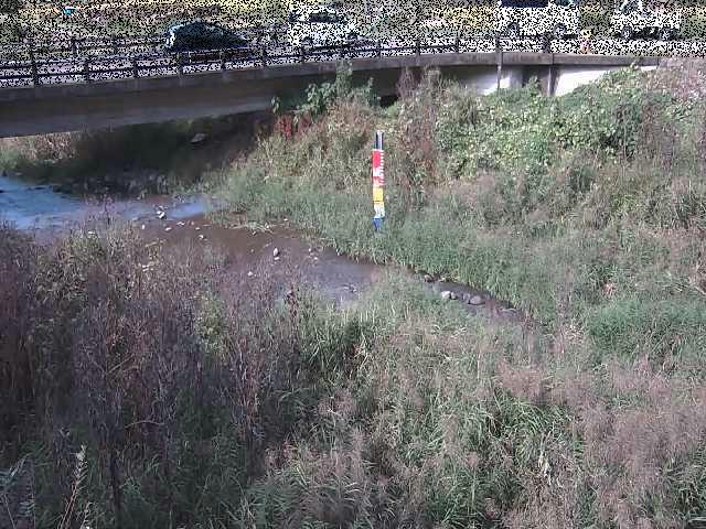 内川 尾崎橋付近のカメラ画像